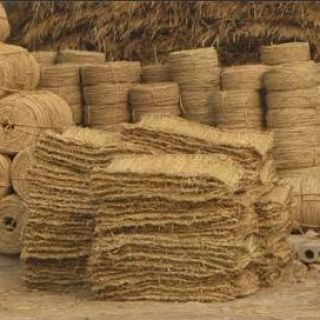 上海綠化草繩草包批發(fā)零售，土球繩，繞樹(shù)繩